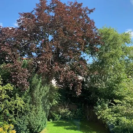 Cosy Incl Jacuzzi Near Trainstation, And Apartamento